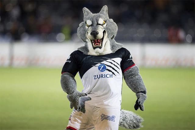 disfraz de lobo en un estadio